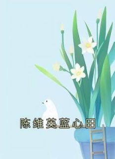《陈维英蓝心田》小说完结版免费试读 陈维英蓝心田小说全文
